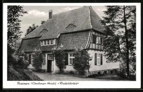 AK Bispingen /Lüneburger Heide, Gasthaus Wacholderhof