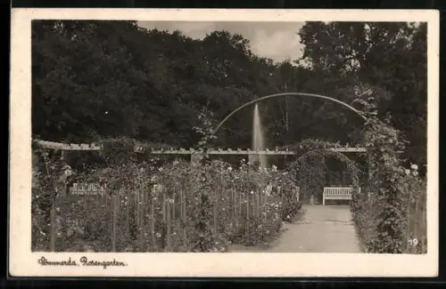 AK Sömmerda, Im Rosengarten