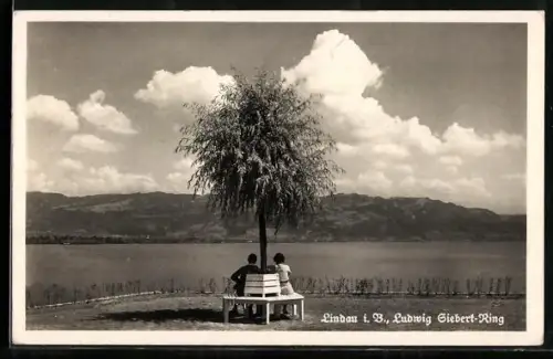 AK Lindau i. B., Ludwig Siebert-Ring, Seeufer, Bank, Baum