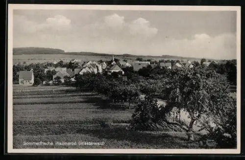 AK Wallmerod /Westerwald, Ortsansicht