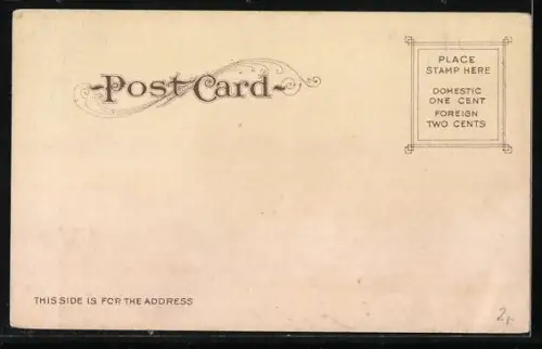 AK Alameda, CA, Rose covered oak