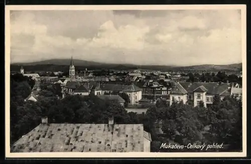 AK Mukacevo, Celkový pohled