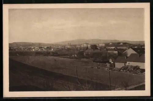 AK Uzhorod, Panorama