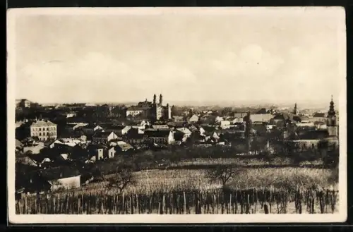 AK Uzhorod, Celkový pohled