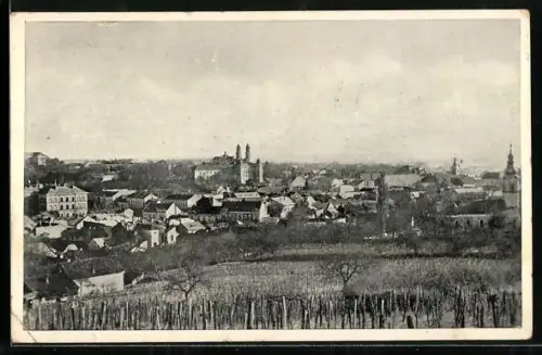 AK Uzhorod, Celkový pohled