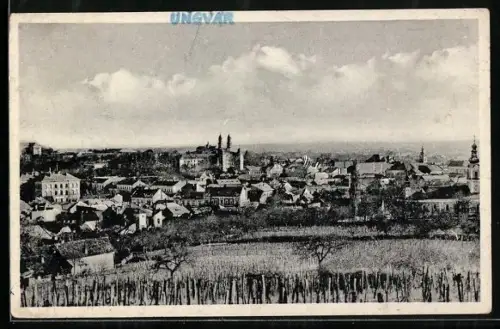 AK Uzhorod, Celkový pohled