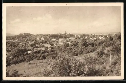 AK Uzhorod, Gesamtansicht