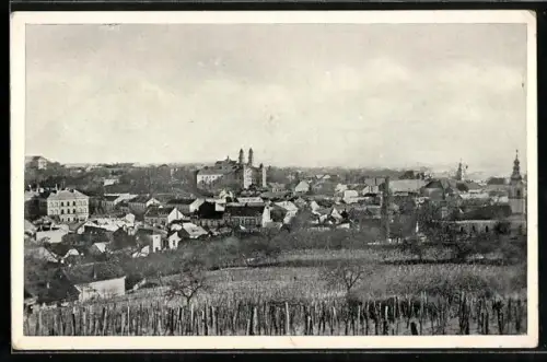 AK Uzhorod, Celkový pohled