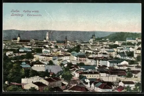 AK Lemberg-Lwow, Totalansicht, Ogólny widok