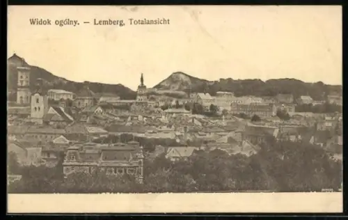 AK Lemberg, Totalansicht
