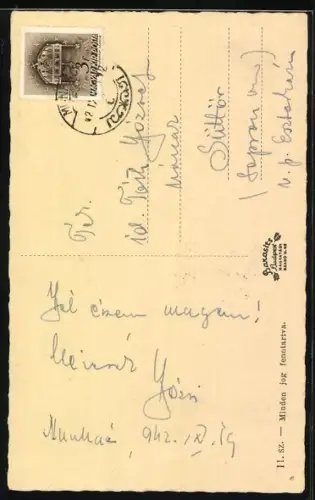 AK Munkács, Városháza