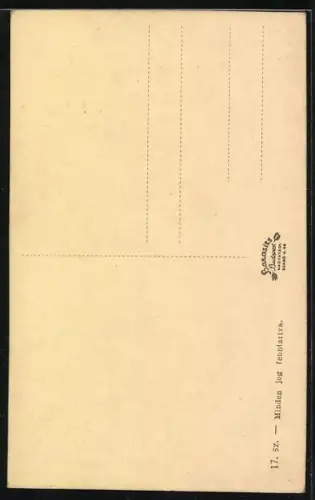 AK Munkács, Kolostor