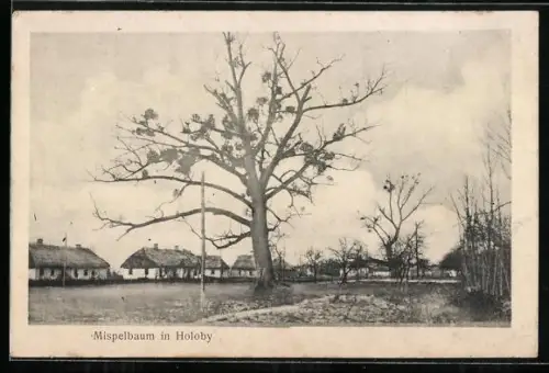 AK Holoby, Mispelbaum, Ortspartie