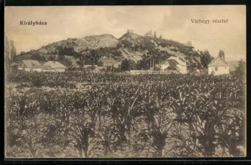 AK Királyháza, Várhegyi részlet, Totalansicht
