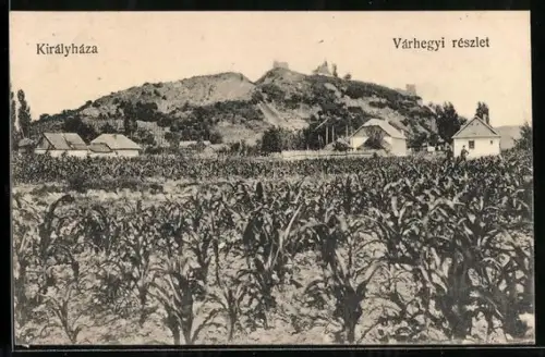 AK Királyháza, Várhegyi részlet, Totalansicht