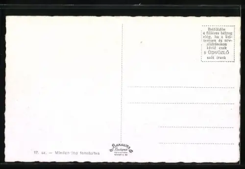 AK Munkács, Városháza