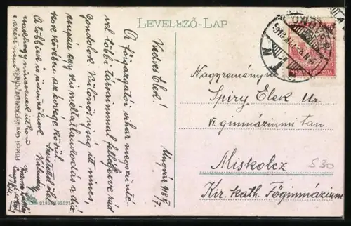 AK Ungvár, Panorama