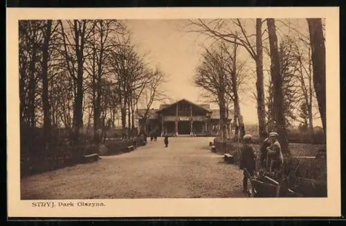 AK Stryj, Park Olszyna