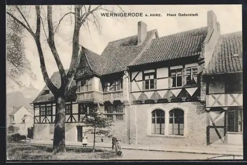 AK Wernigerode a. Harz, Haus Gadenstedt