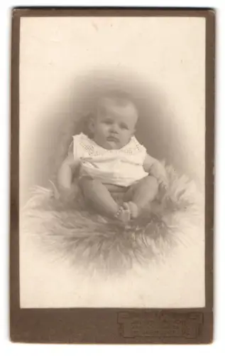 Fotografie Julius Grusche, Neugersdorf, Porträt eines Babys auf Fell 1913