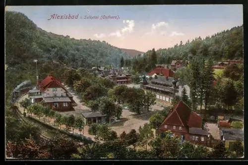 AK Alexisbad, Platzansicht im Ort