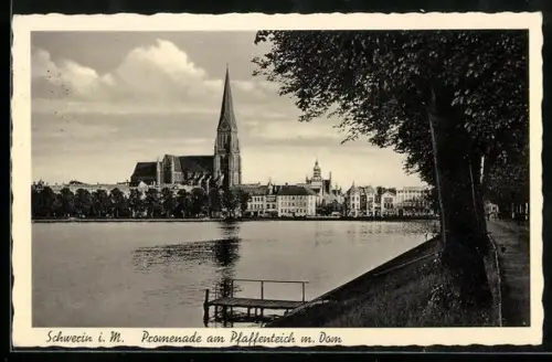AK Schwerin i. M., Promenade am Pfaffenteich mit Dom