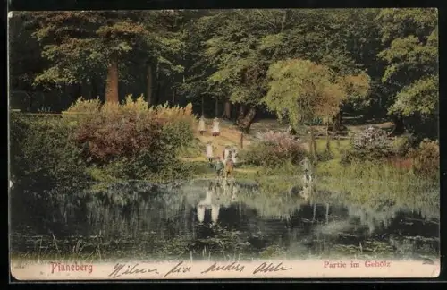 AK Pinneberg, Partie im Gehölz