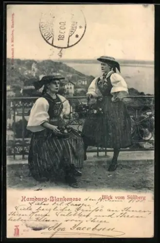 AK Hamburg-Blankenese, Blick vom Süllberg, Trachten
