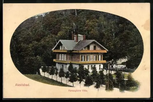 AK Alexisbad, Herzogliche Villa