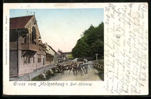 Goldfenster-AK Bad Harzburg, Molkenhaus mit leuchtenden Fenstern und Kühen