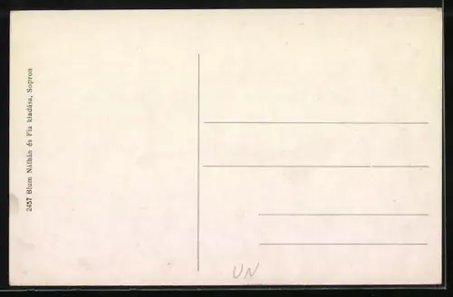 AK Sopron, Löver Schwimmschule