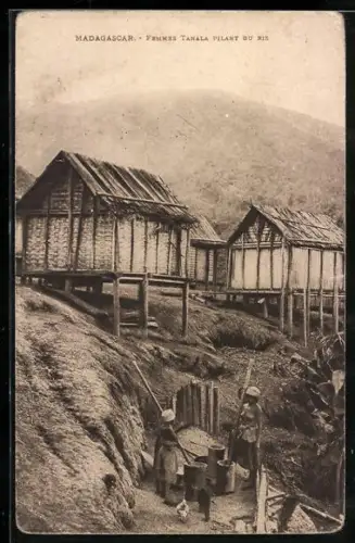 AK Madagascar, Femmes Tanala pilant du Riz