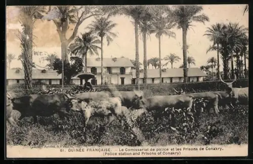 AK Conakry, Le Comissariat de police et les prisons