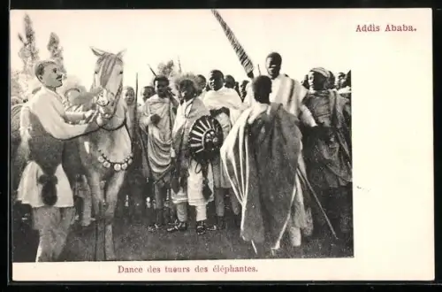 AK Addis Ababa, Dance des tueurs des éléphantes