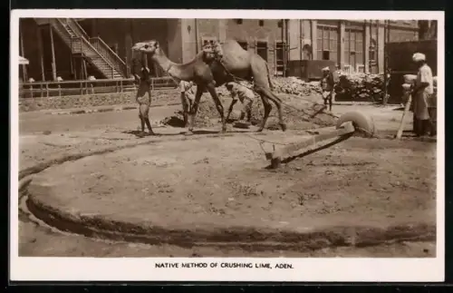 AK Aden, Native Method of Crushing Lime, Camel