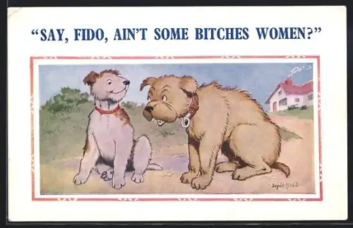 Künstler-AK Donald McGill: Say, Fido, ain`t some Bitches Women?