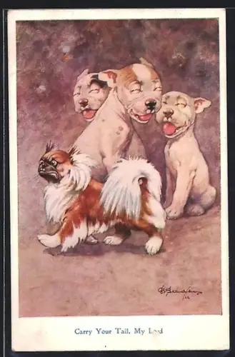 Künstler-AK George Ernest Studdy: Drei Hunde lachen einen hochnäsigen Hund aus, Carry your tail, my lord