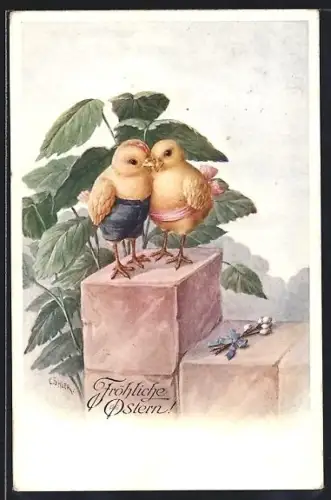 Künstler-AK C. Öhler: Zwei Singvögel auf einem Stein, einer mit Hose, der andere mit rosa Schärpe