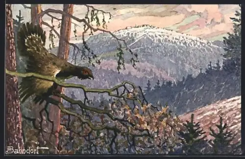 Künstler-AK H. Bahndorf: Idyll mit Auerhahn