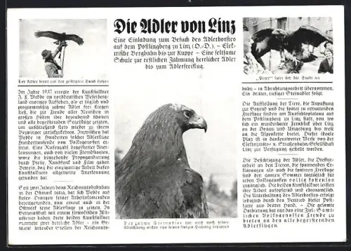AK Linz a.D., Falkner mit Adler, zahmer Steinadler, Adler Peter mit Falkner