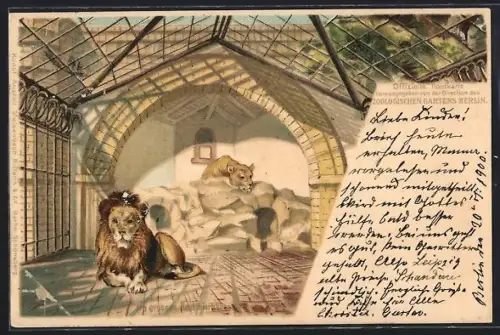 Lithographie Berlin, Zoologischer Garten, Löwen in ihrem Gehege