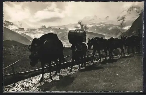 AK Saas-Fee, Maultierpost auf einem Gebirgspass