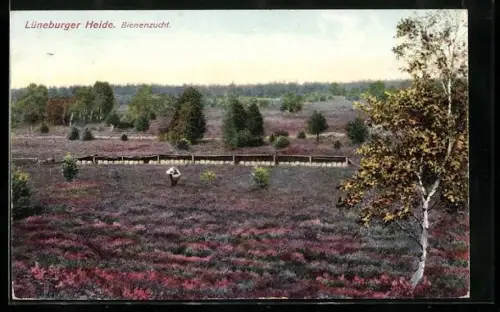 AK Lüneburger Heide, Bienenzucht