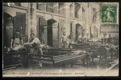 AK Abattoire de la Villette, Un Echaudoir de Moutons