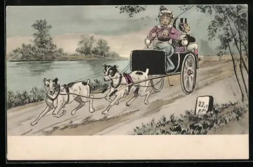 AK Katze im Kleid und Affe mit Zylinder in einer von Hunden gezogenen Kutsche