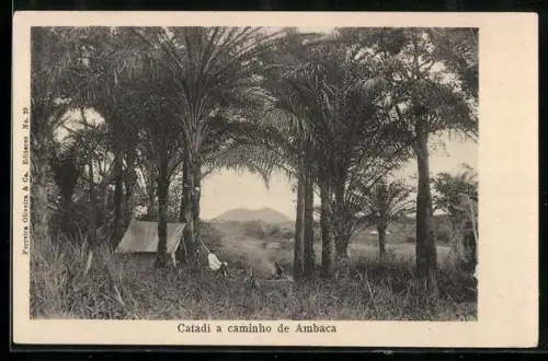 AK Ambaca, Catadi a caminho