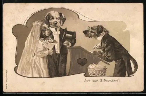 AK Auf dem Standesamt, Hundehochzeit, vermenschlichte Tiere