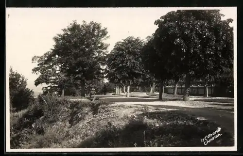 AK Campina, Parkanlage