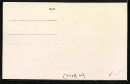 AK Campina, Parkanlage