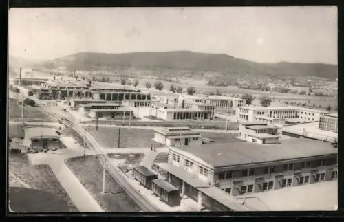 AK Sighisoara, Complexul industrial de faianta si sticlarie